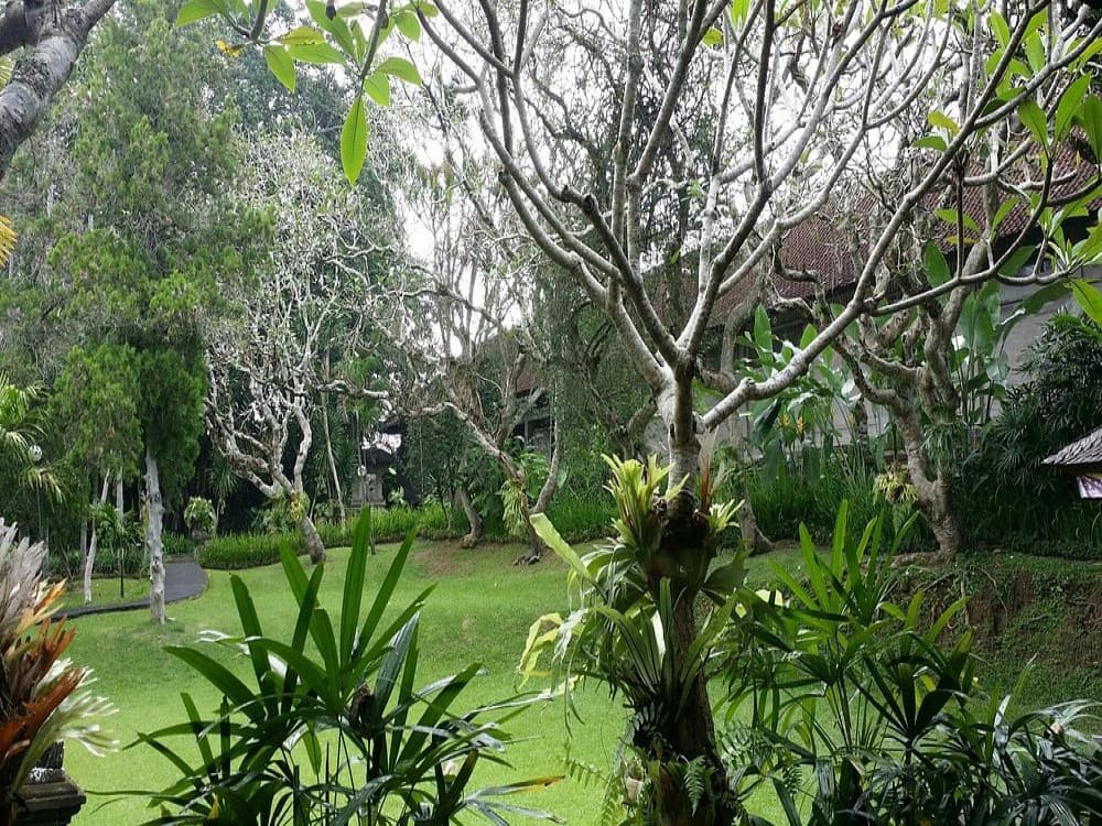Museum Puri Lukisan