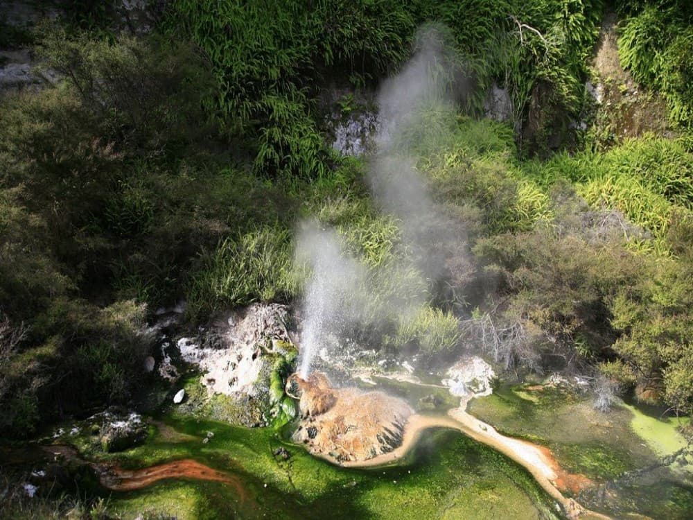 Waimangu Volcanic Valley