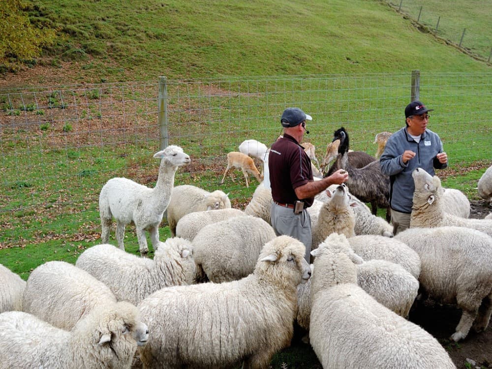 Agrodome