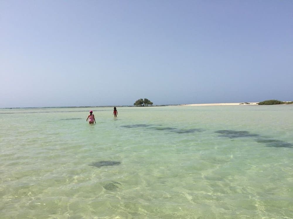 Wadi El Gemal National Park