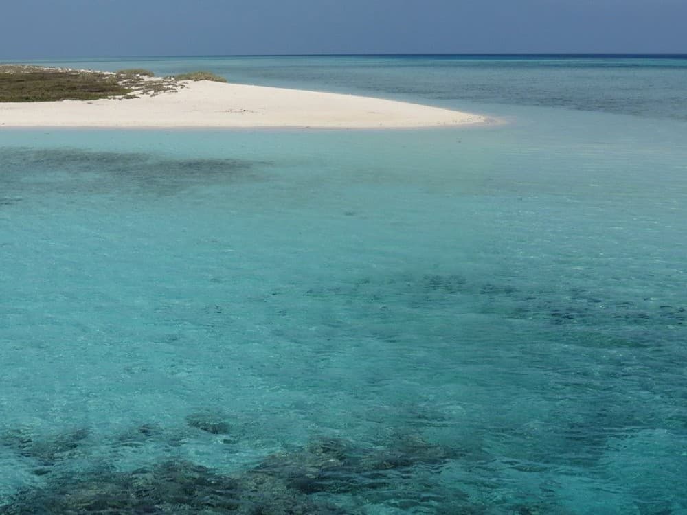 Isole Hamata