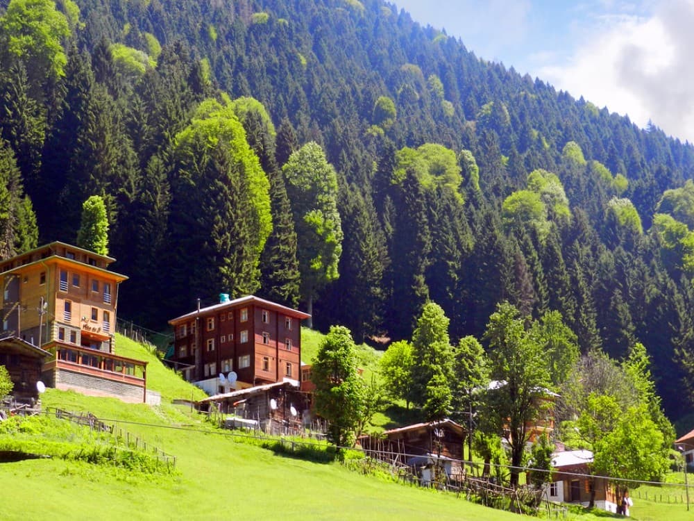 Ayder Yaylasi