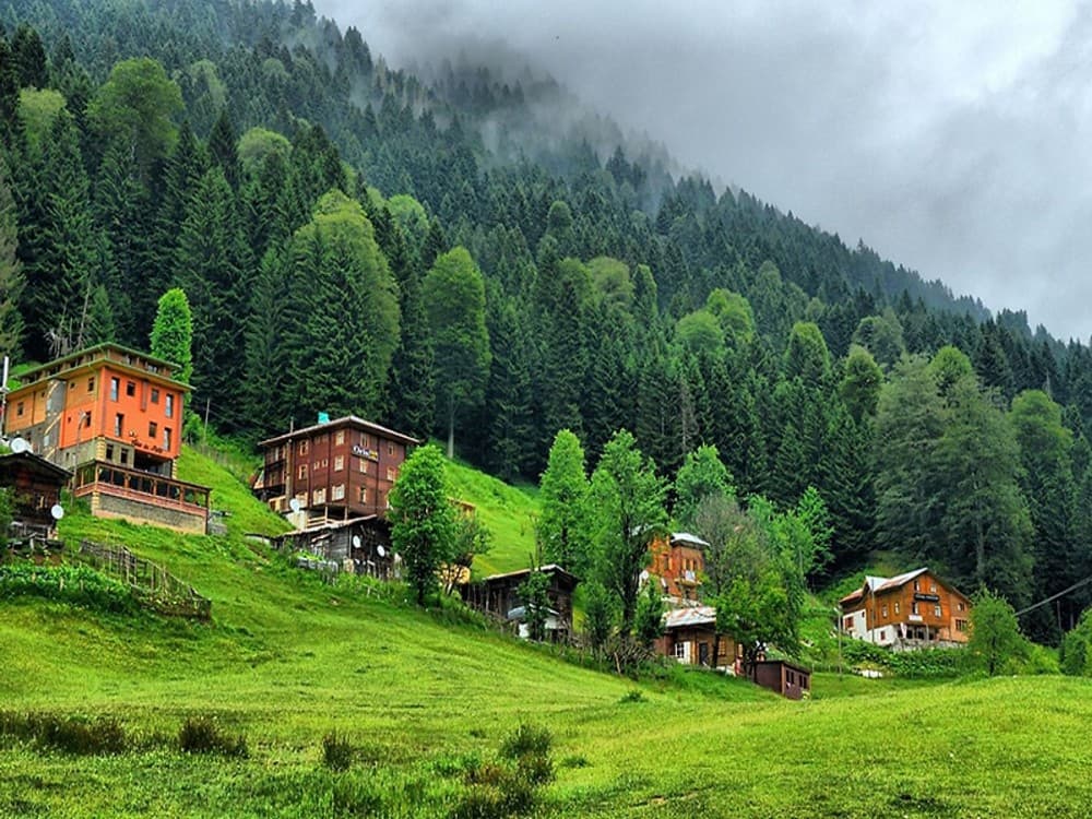 Ayder Yaylasi