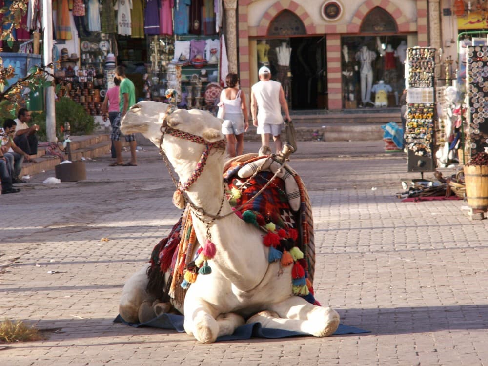 Old Market (Sharm El-Maya)