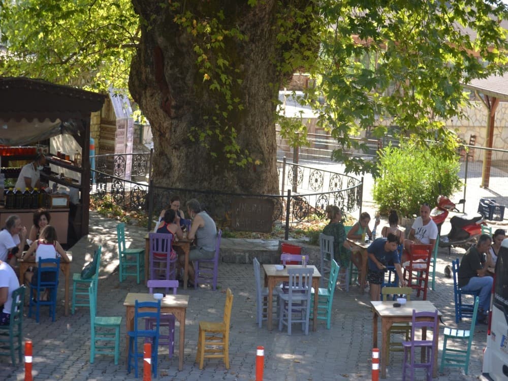 Bayır (Village Bayır)