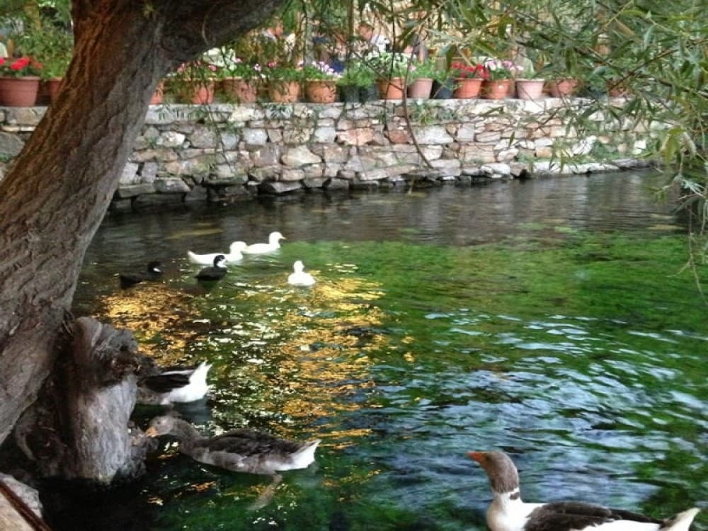 Discovering Akyaka’s Culinary Charm<