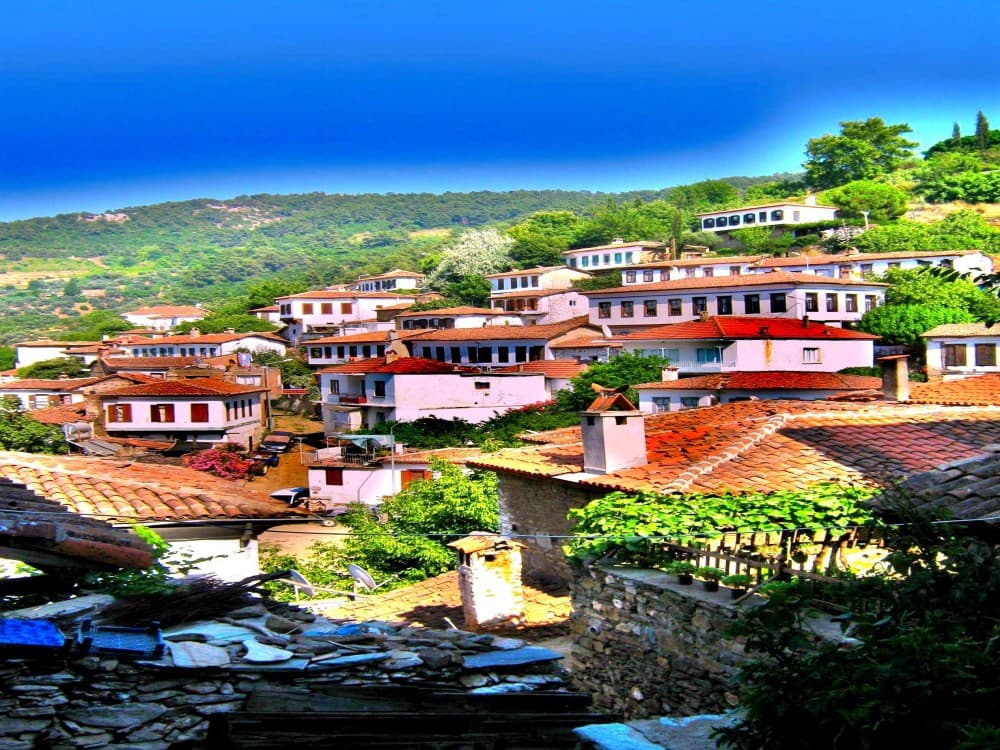 Is Selcuk the Perfect Blend of History, Nature, and Local Culture?