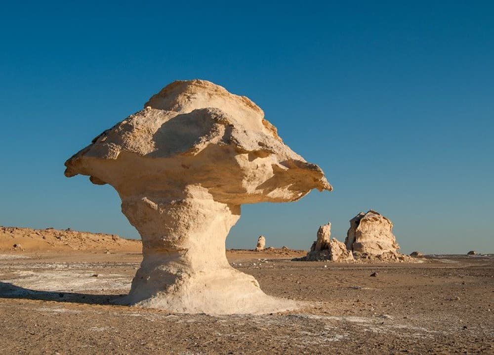 Mushroom Hill