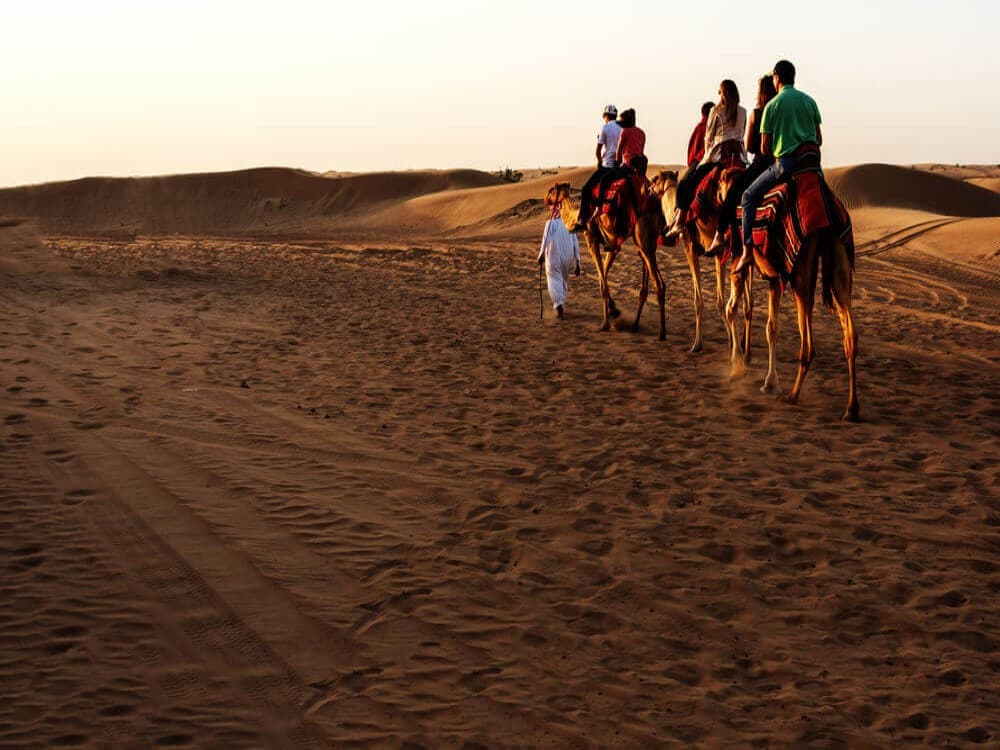 Desert Safaris in Sharm El-Sheikh: An Unforgettable Adventure