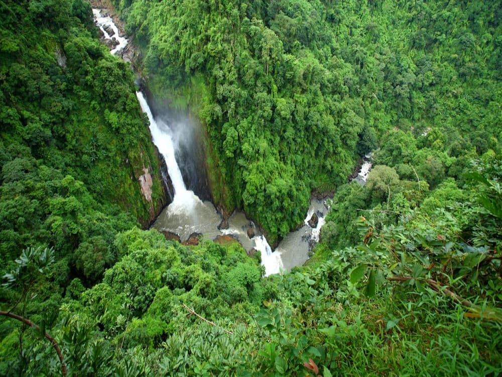 Khao Yai National Park