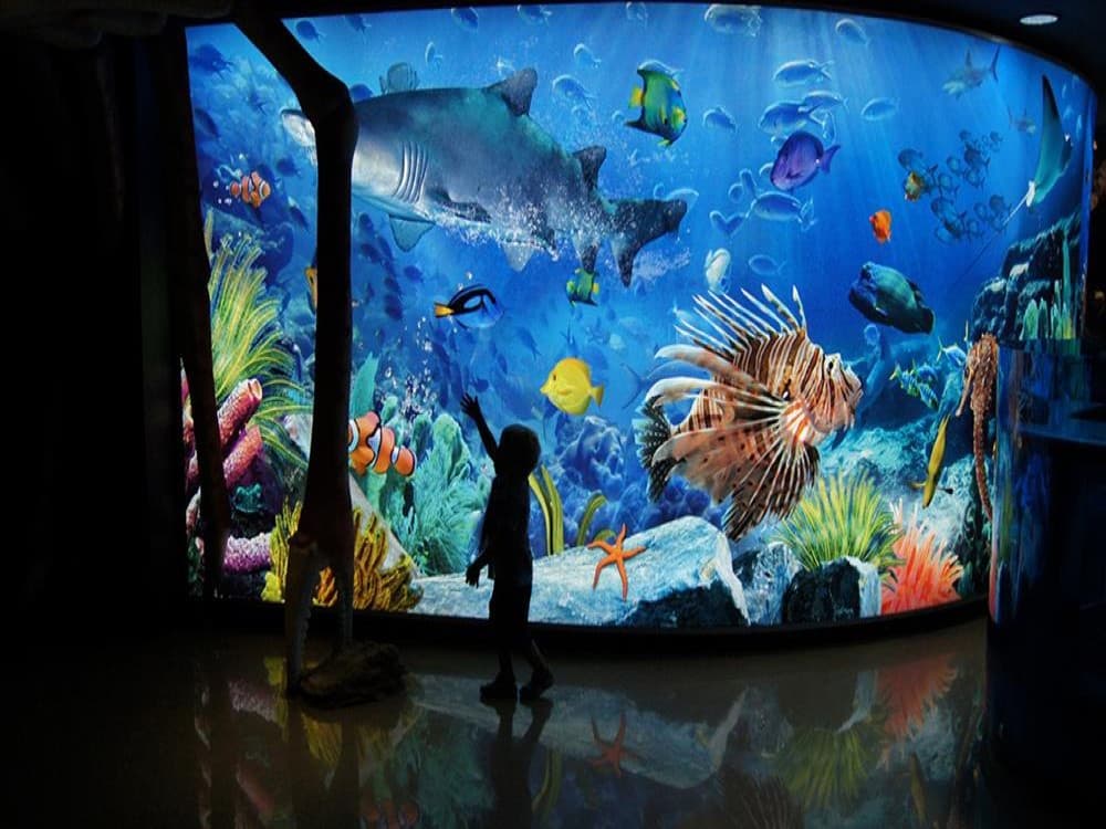  SEA LIFE Bangkok Ocean World