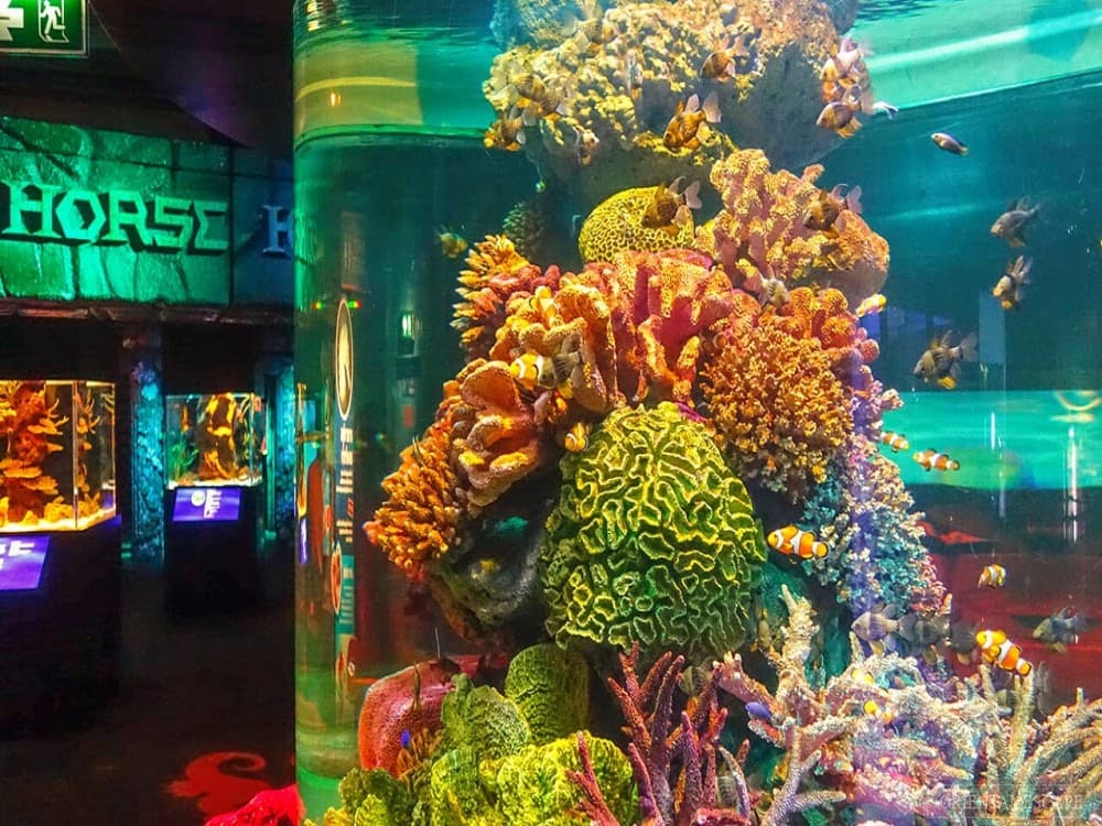  SEA LIFE Bangkok Ocean World