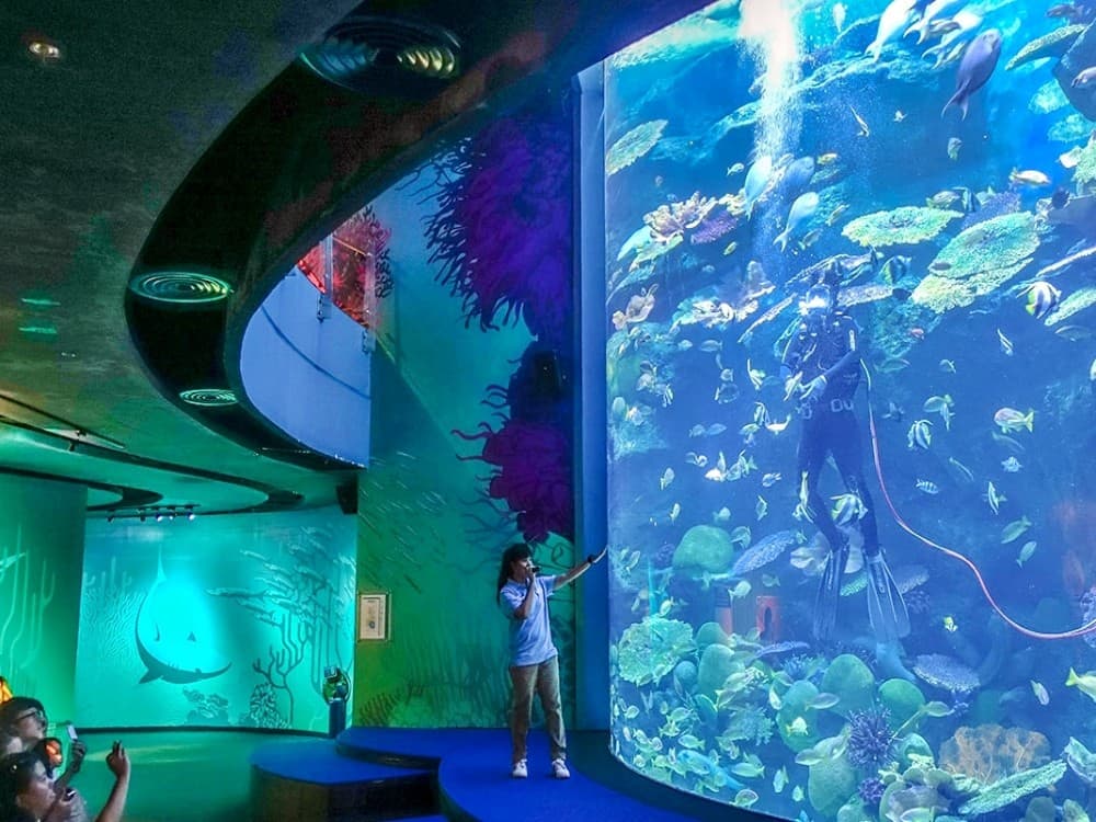  SEA LIFE Bangkok Ocean World
