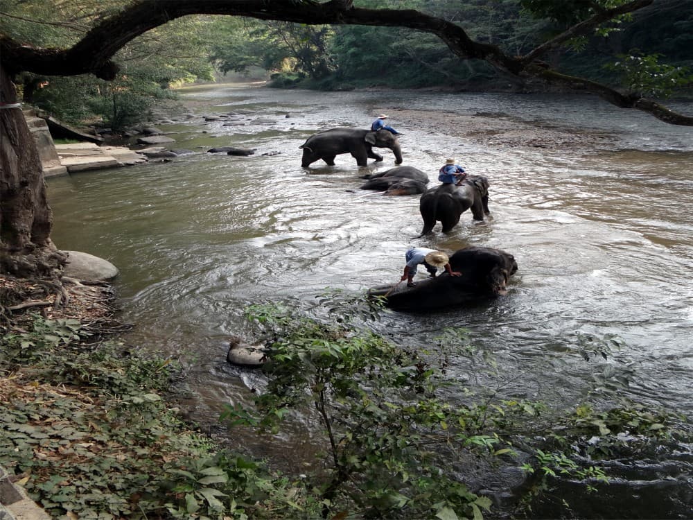Mae Ping River
