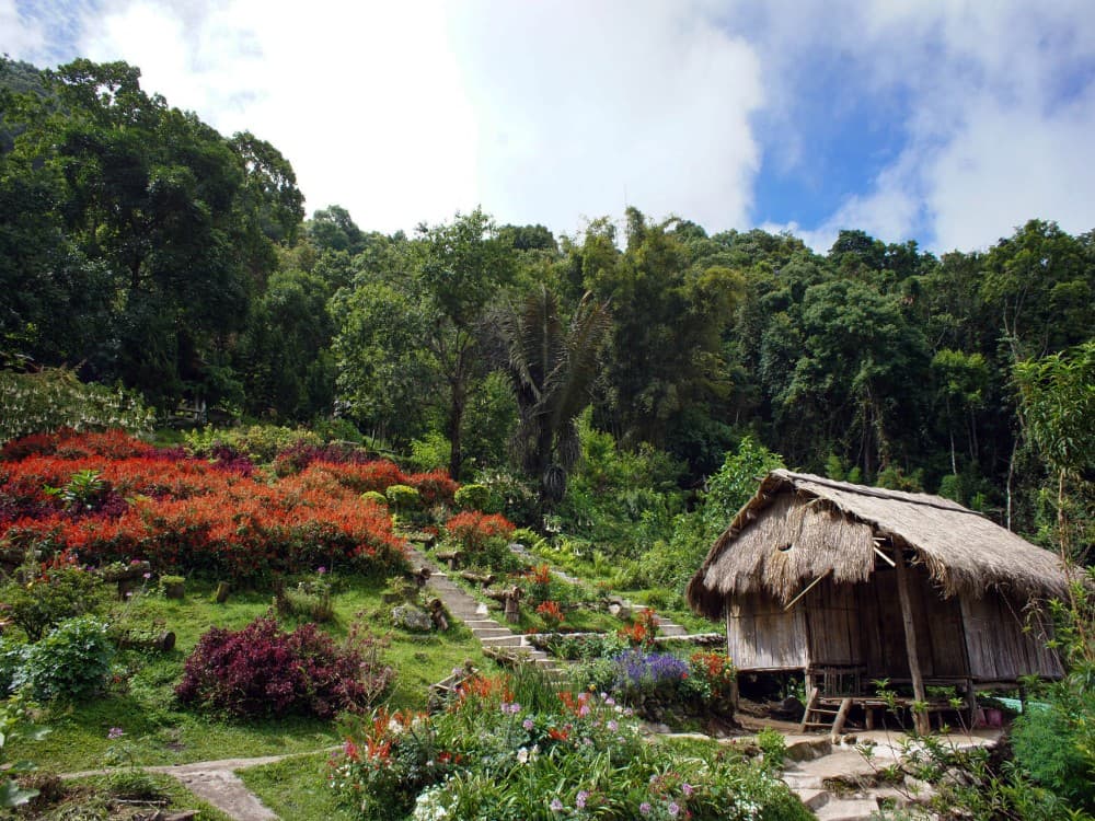 Doi Suthep–Pui National Park