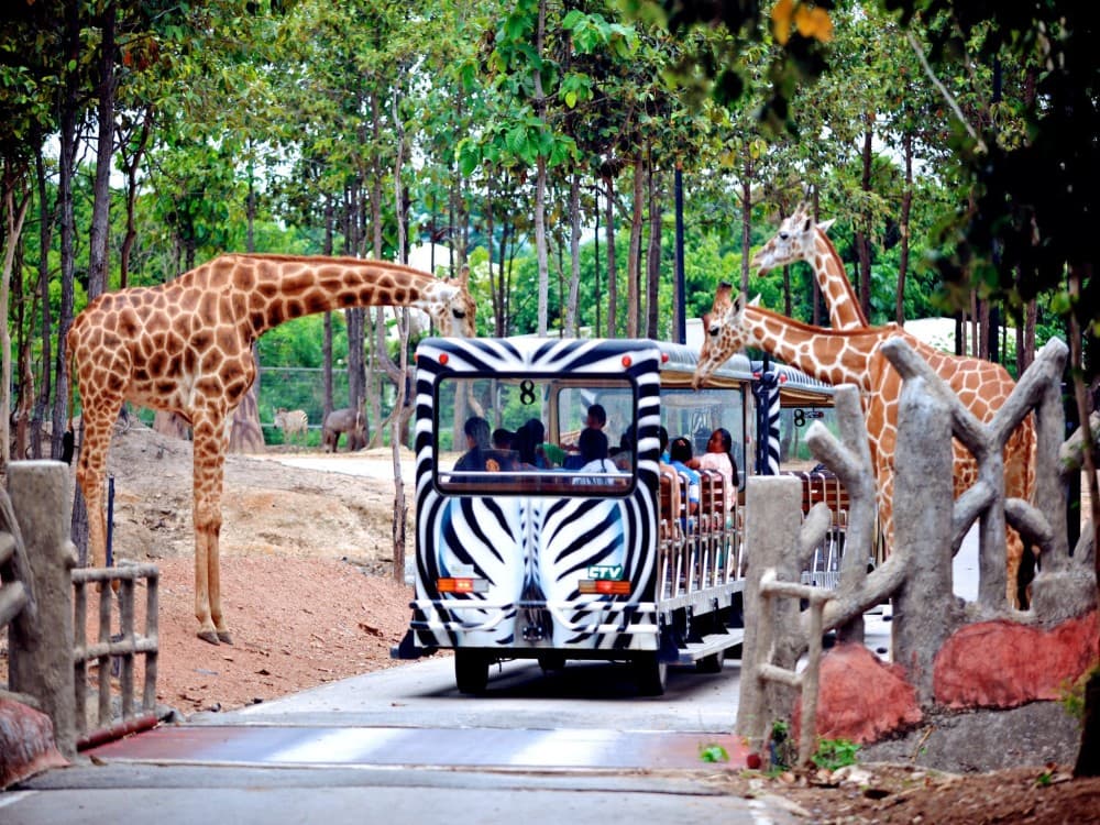 Chiang Mai Night Safari