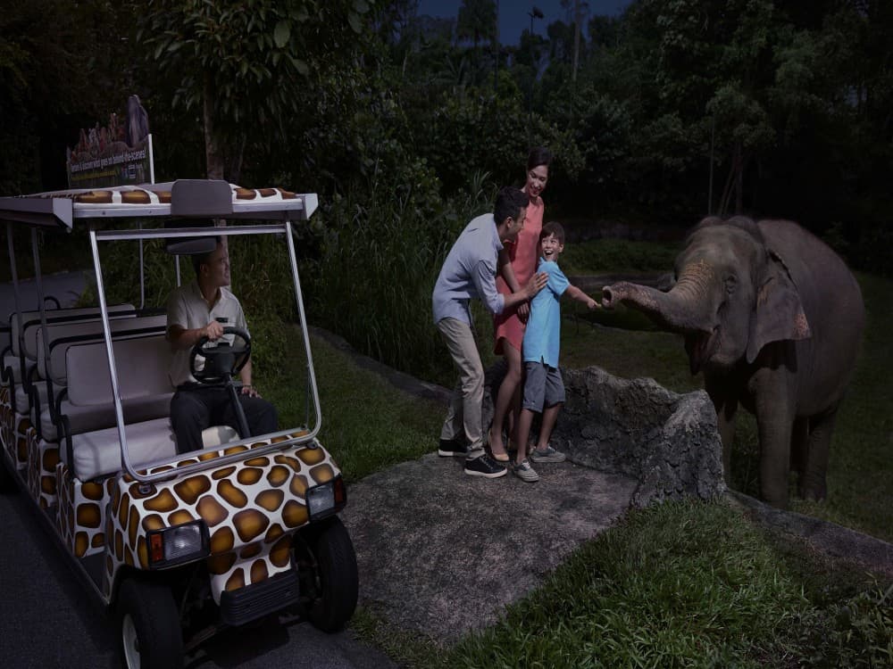 Chiang Mai Night Safari