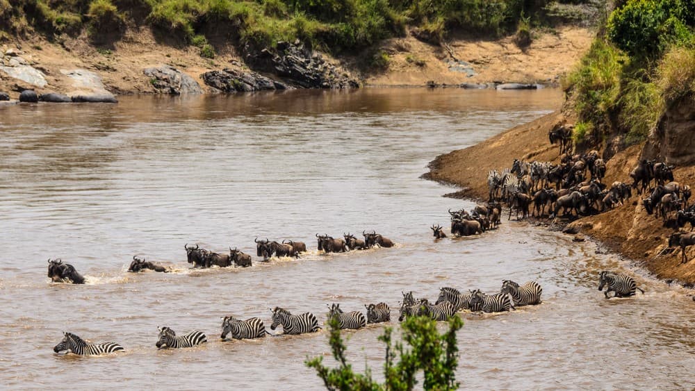 Hidden Gems in Masai Mara: Beyond the Safari