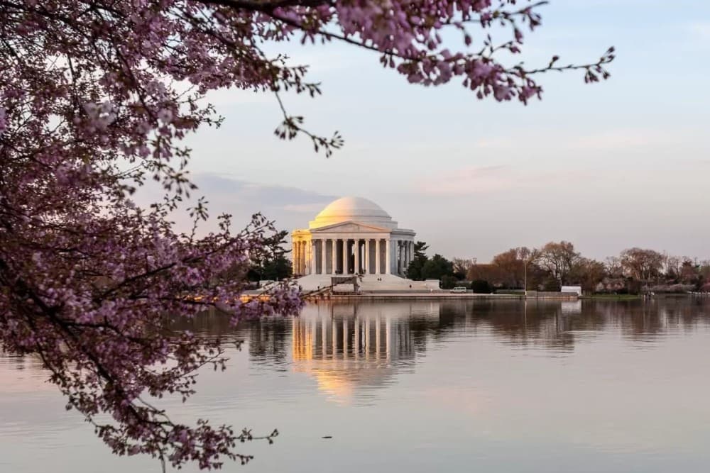 Washington DC’s Best Parks and Outdoor Spaces: A Nature Lover’s Guide