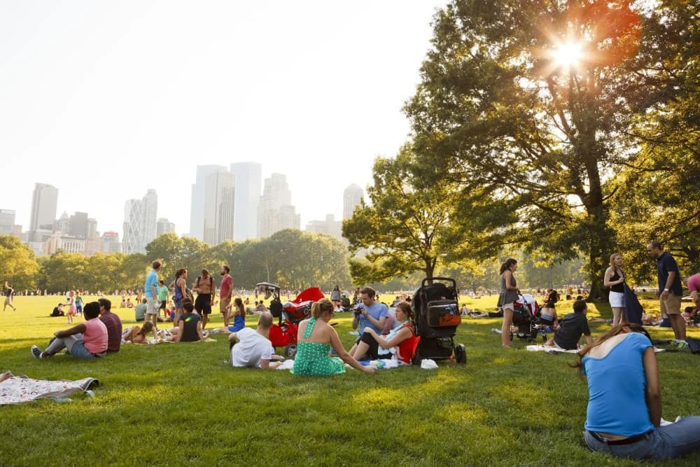 24 Hours in New York: A Perfect Itinerary for a Quick Trip