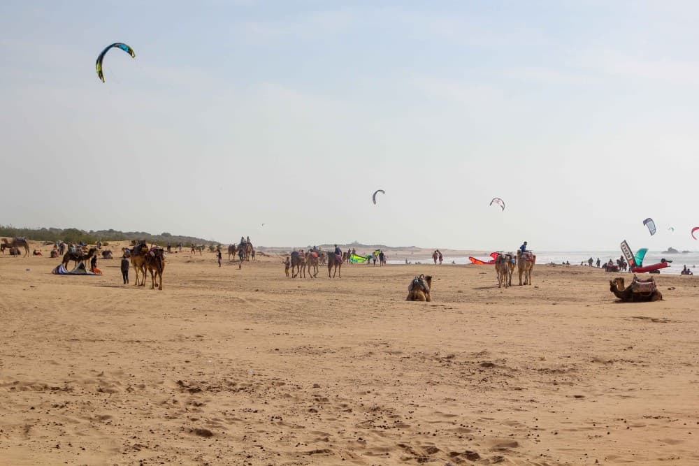 The Best Beaches in Essaouira: Sun, Surf, and Relaxation