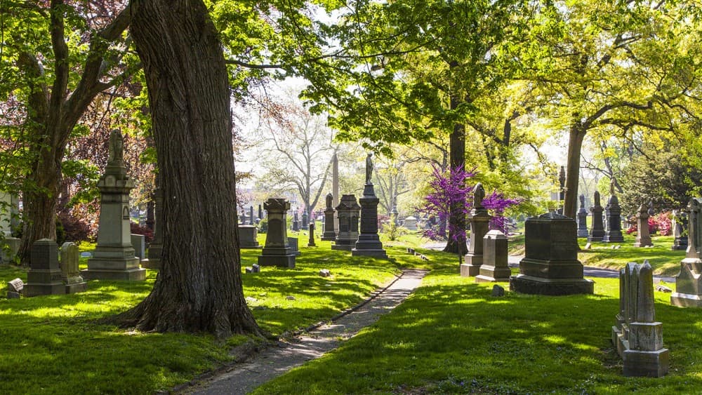 Exploring New York’s Hidden Gems: Off-the-Beaten-Path Activities