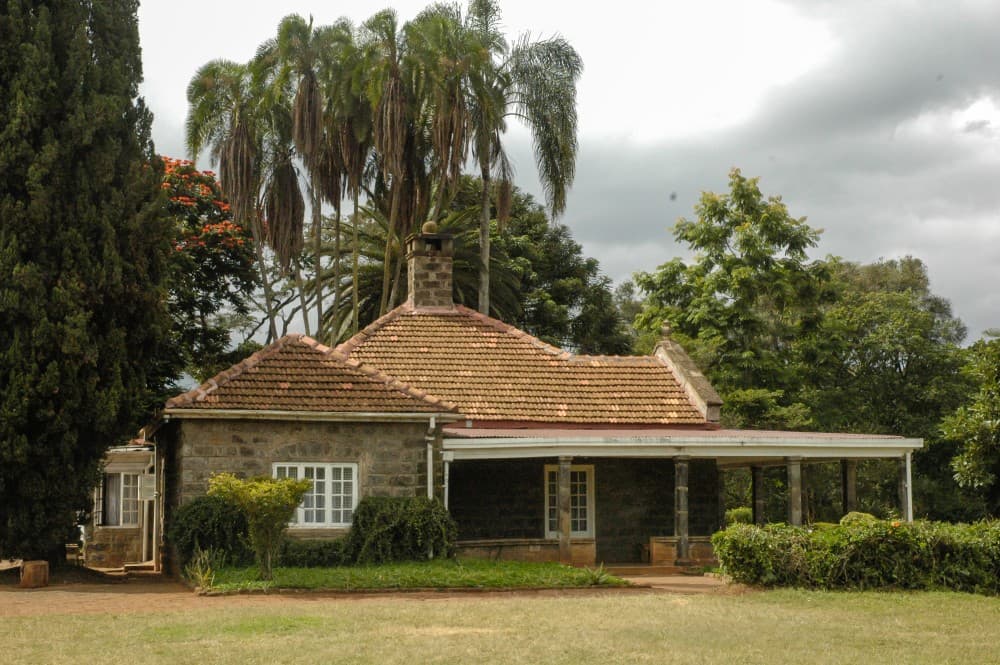 Wildlife Wonders in Nairobi: A Guide to Safaris and Animal Encounters
