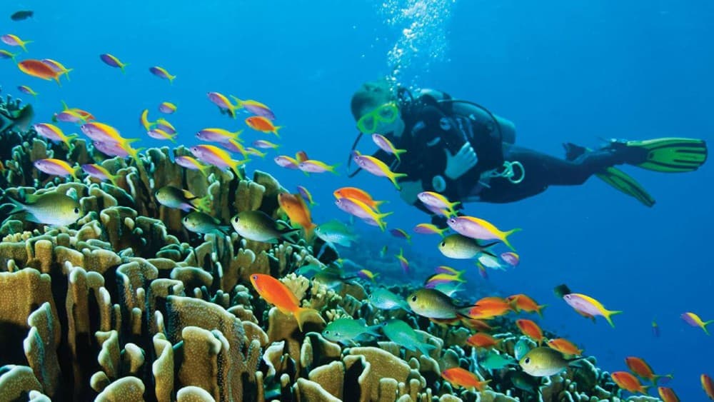 Top Things to Do in Hurghada: A Complete Guide to the Red Sea’s Gem