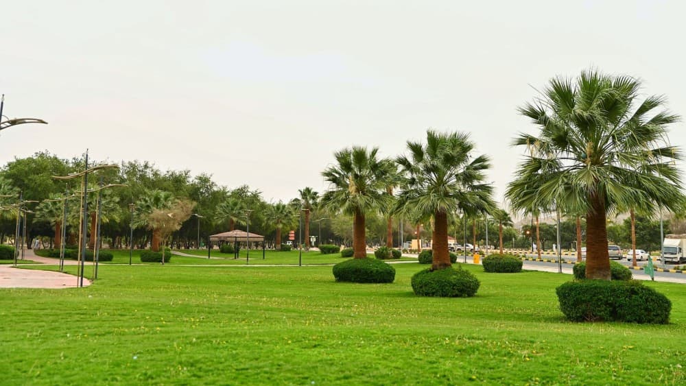 Exploring Dammam for First-Timers: Must-See Attractions and Experiences