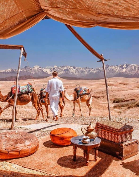 Marrakech: Unforgettable Marrakech Adventures: Explore the Best of Morocco | ®ExcursionMania