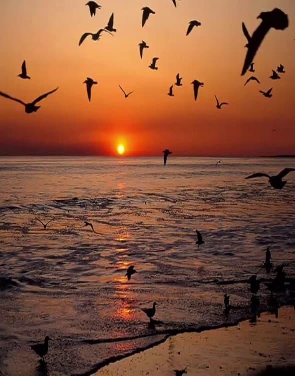 Icmeler: The Magic of Sunset: Evening Adventures in Icmeler | ®ExcursionMania