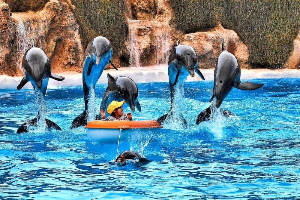 Family-Friendly Tenerife: Best Activities for Kids and Parents
