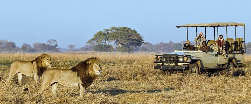 Adventure Activities in Mombasa for Thrill-Seekers