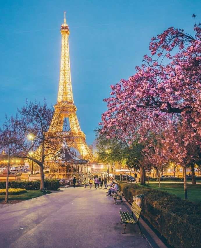 France: A captivating blend of iconic landmarks, stunning landscapes, rich history, and fine cuisine. 