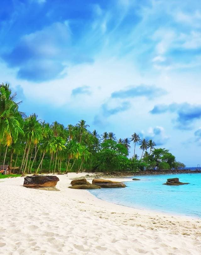 Discovering Vietnam: A Land of Timeless Charm and Natural Wonders 