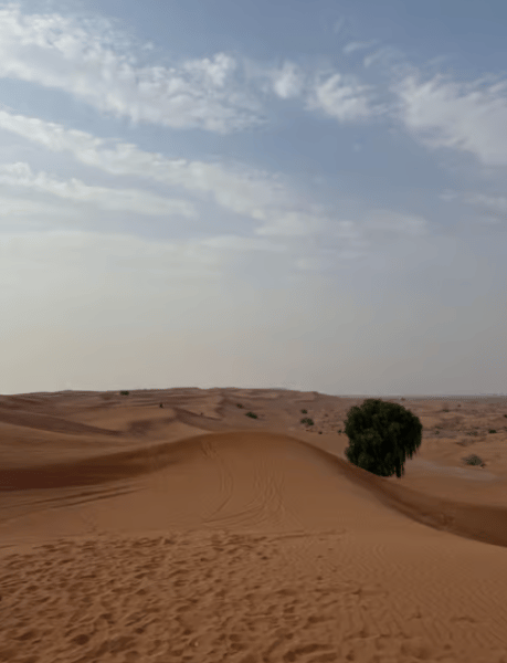 Dubai: Quad Bike Safari, Camels & Al Khayma Camp BBQ Dinner | ®ExcursionMania