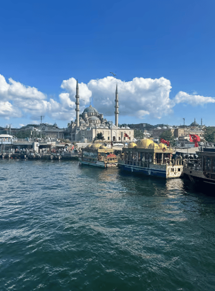Istanbul: Istanbul: Bosphorus Sightseeing Cruise with Sunset Option | ®ExcursionMania