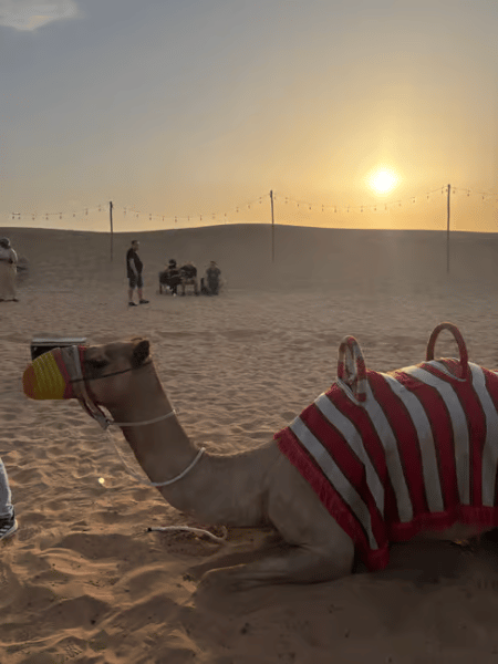 Dubai: Desert Safari, Quad Bike, Sandboarding, Camels & BBQ | ®ExcursionMania
