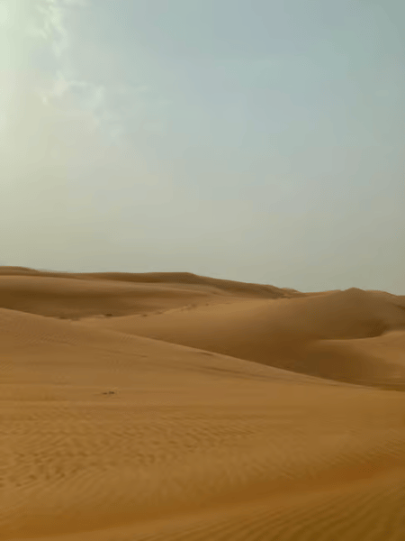 Dubai: Desert Safari, Quad Bike, Sandboarding, Camels & BBQ | ®ExcursionMania