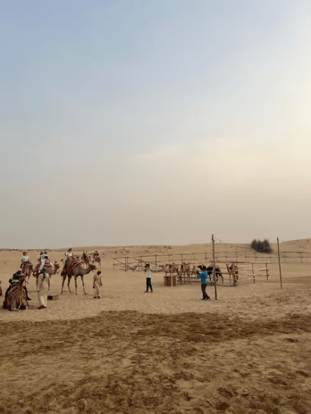 Dubai: Desert Safari, Quad Bike, Sandboarding, Camels & BBQ | ®ExcursionMania