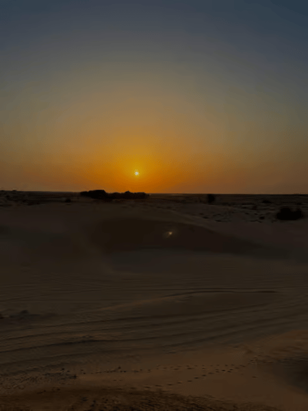 Dubai: Desert Safari, Quad Bike, Sandboarding, Camels & BBQ | ®ExcursionMania