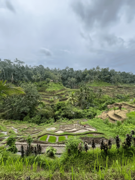 Bali: Bali: Full-Day Instagram Highlights Tour | ®ExcursionMania