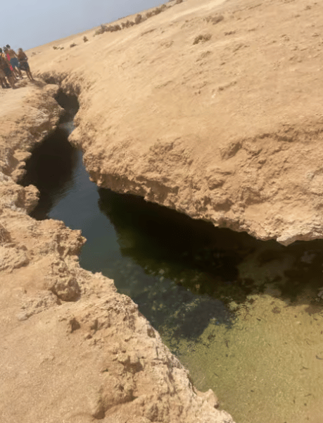 Sharm El-Sheikh: Sharm El-Sheikh : Ras Mohamed Half Day Tour & Allah's gate | ®ExcursionMania