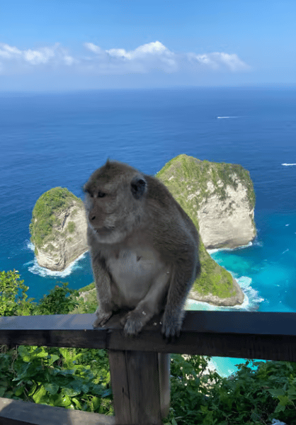 Nusa Penida: Private Car Hire with Driver | ®ExcursionMania