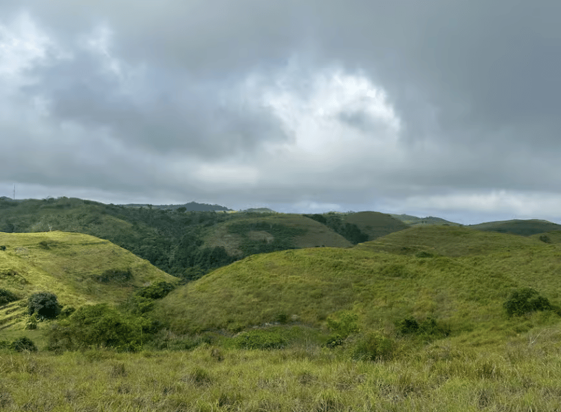 Nusa Penida: Private Car Hire with Driver | ®ExcursionMania