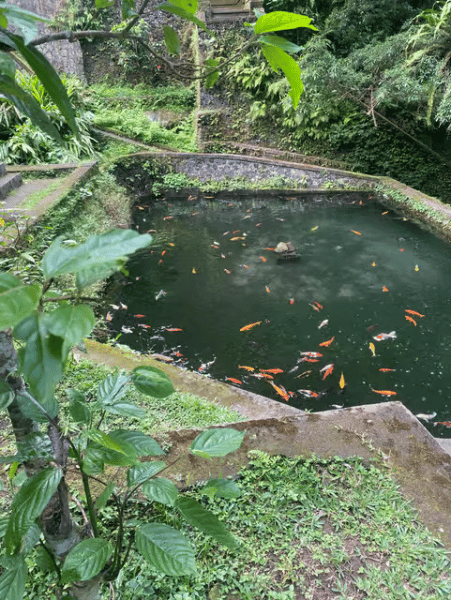 Tirta Empul: Temple Tour with Optional Spiritual Cleansing | ®ExcursionMania