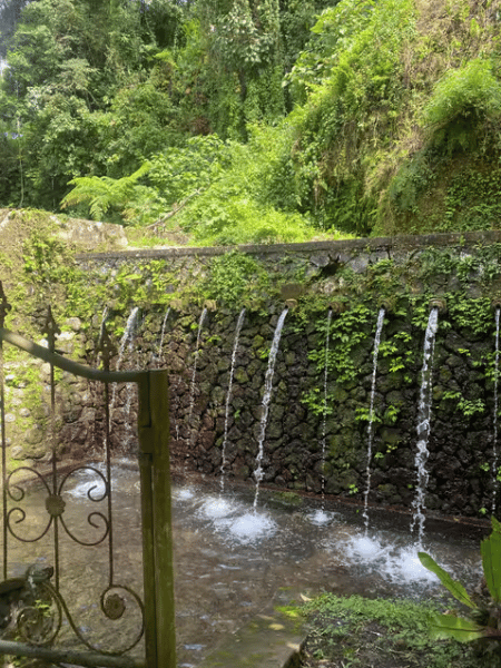 Tirta Empul: Temple Tour with Optional Spiritual Cleansing | ®ExcursionMania