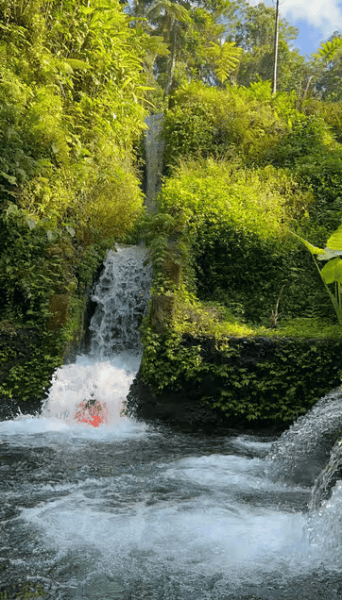 Tirta Empul: Temple Tour with Optional Spiritual Cleansing | ®ExcursionMania