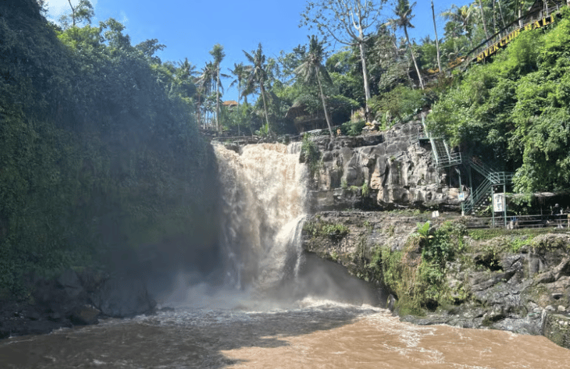 Ubud: Half-Day Semi-Customized Private-Tour with Live Guide | ®ExcursionMania