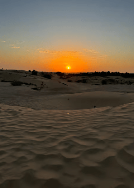 Dubai: Desert Safari with Camp, Dinner, & Optional Overnight | ®ExcursionMania